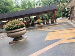 -碧水湾温泉