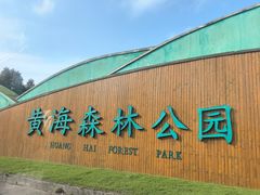 -黄海国家森林公园