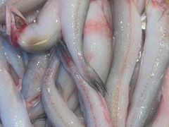 -501號台州海鲜餐厅(海创园店)