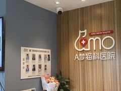 -御宝贝·A梦猫科宠物医院(国际猫友好医院)