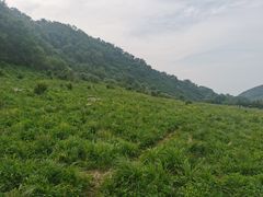 -白草畔自然风景区