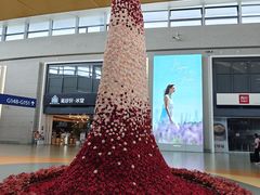 -上海浦东国际机场-T2航站楼