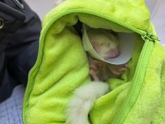 -达爱动物医院·犬猫分区·CT·复杂眼科(远洋山水分院)