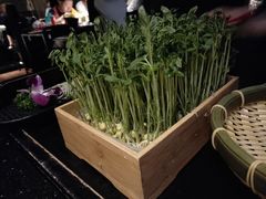 -捞王锅物料理(凯旋路店)