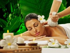 -南美元生态大酒店(海珠店)