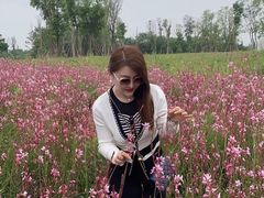 -三圣花乡旅游区