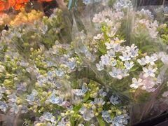 -豆豆花艺(新光天地店)