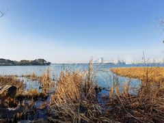 -长广溪湿地公园