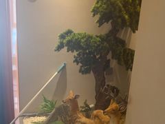 -二分八云雁阁•新晋菜大同味(长治路店)