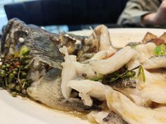 青花椒蒸龙胆鱼-闽和南(深圳万象城店)