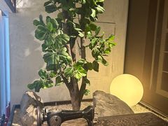 -良木缘咖啡西餐(新城市广场店)