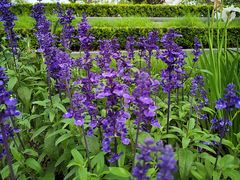 -上海山野camping·户外天幕烧烤·团建拓展营地