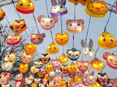 -沈阳奥体冰雪嘉年华