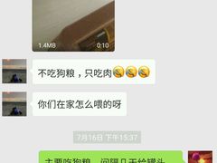 -波姐宠物家庭寄养