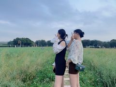 -光明小镇欢乐田园