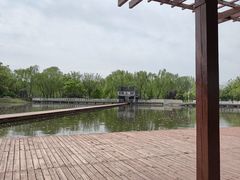 -石家庄市植物园