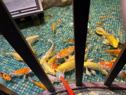 -酷嗒动物文化乐园(cutezoo西溪乐天城店)