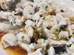 笋壳鱼-台山美食一绝阿四台山黄鳝饭(阿四创作店)