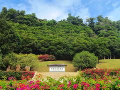 -深圳仙湖植物园-停车场
