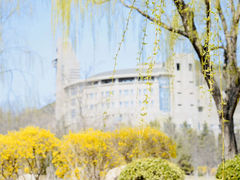-大连东软信息学院(软件园校区)