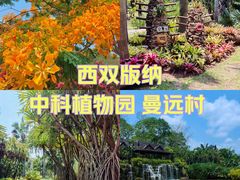 -中国科学院西双版纳热带植物园