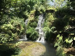 -Chom Cafe and Restaurant