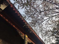 -康百万庄园