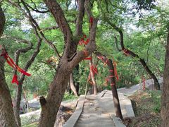 -宝通禅寺