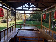 -白渔泡湿地公园