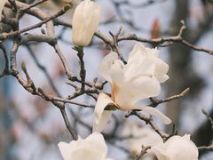 -西湖文化广场