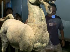 -广西壮族自治区博物馆