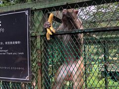 -藏龙百瀑风景区