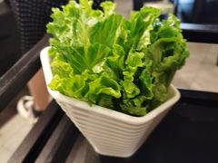 -猪无忌·专做猪肚包鸡20年(乐峰广场店)