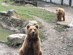 -宁波野生动物园