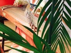 -音歆国艺馆·民乐培训(双榆树店)