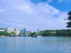 -白鹭洲公园