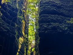 -梭布垭石林景区