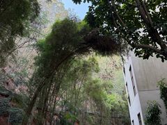 -仙岳公园