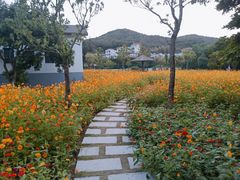 -乌石塘景区