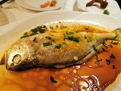 松鼠生态大黄鱼-丽笙精选海仑宾馆·海茂中餐厅