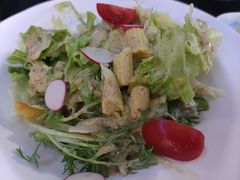 季节蔬菜色拉-真剑日本料理·铁板烧(贵州路店)