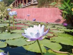 -广州莲花山旅游区