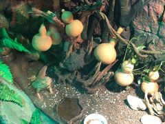 -梦幻海洋王国(吾悦广场张家港店)