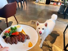 -百好乐宠物友好餐厅(朝外大街店)