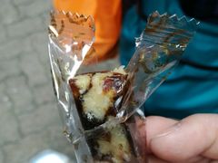 -珍妮曲奇聪明小熊(上环店)