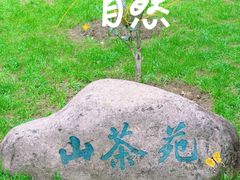 -玄武湖景区-情侣园游乐场