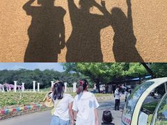 -松山湖南湖湾露营营地
