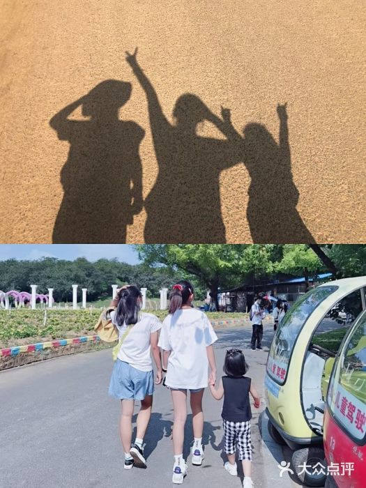 松山湖南湖湾露营营地图片