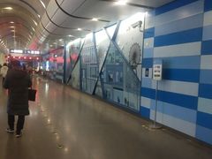 -大望路(地铁站)