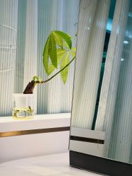 -Mr.JUDY洗个头发